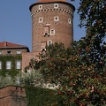 Wawel (20060914 0208)